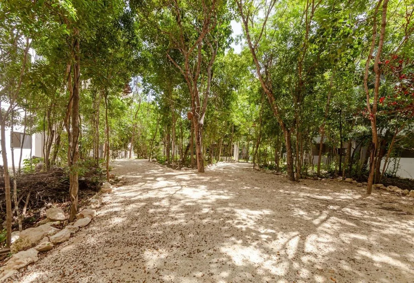New! Condoph10Min To Beachwifi 300Mbgym6Pools Playa del Carmen Mexiko